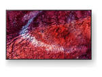 Bravia Professional Displays FW-75BZ40P BZ40P Series