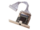 ZebraNet 10/100 Print Server