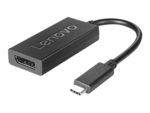USB-C to DisplayPort Adapter